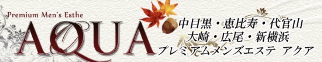 中目黒・恵比寿・代官山のメンズエステ「AQUAアクア」｜メンエス怪獣のメンズエステ中毒ブログ｜【AQUA（アクア）】で抜きあり調査