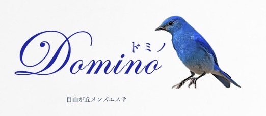 Domino