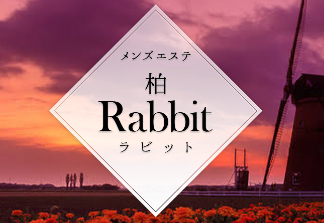 柏　Rabbit（ラビット）