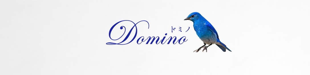 Domino (ドミノ)