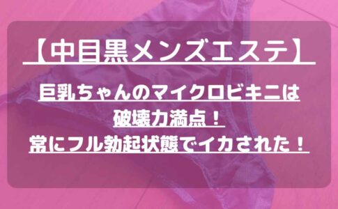 怪獣ブログのアイキャッチ