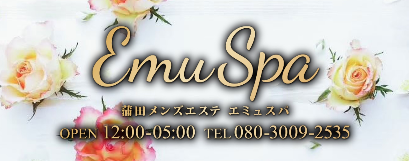 東京 大井町 メンズエステ 抜き 本番　Emu Spa (エミュスパ)
