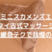 怪獣ブログのアイキャッチ